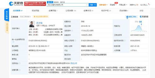 芯擎科技引領(lǐng)7nm車規(guī)級芯片創(chuàng)新，專利布局助力數(shù)據(jù)處理與存儲效能提升