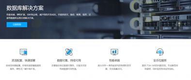 大數(shù)據(jù)時(shí)代的數(shù)據(jù)基石 數(shù)據(jù)庫(kù)解決方案與處理存儲(chǔ)支持服務(wù)探析